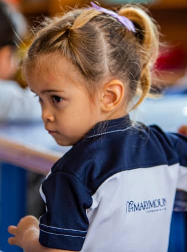 Excelencia académica